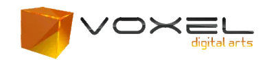 Voxel Digital Arts Brazil